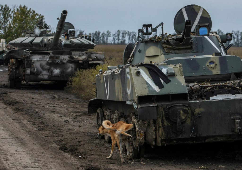 Pes a ruský tank. FOTO: Reuters