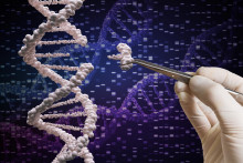 Genetika, manipulácie, DNA (Téma) SNÍMKA: Shutterstock