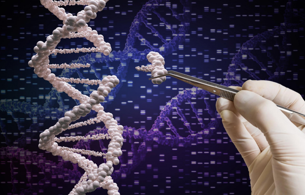 Genetika, manipulácie, DNA (Téma) SNÍMKA: Shutterstock