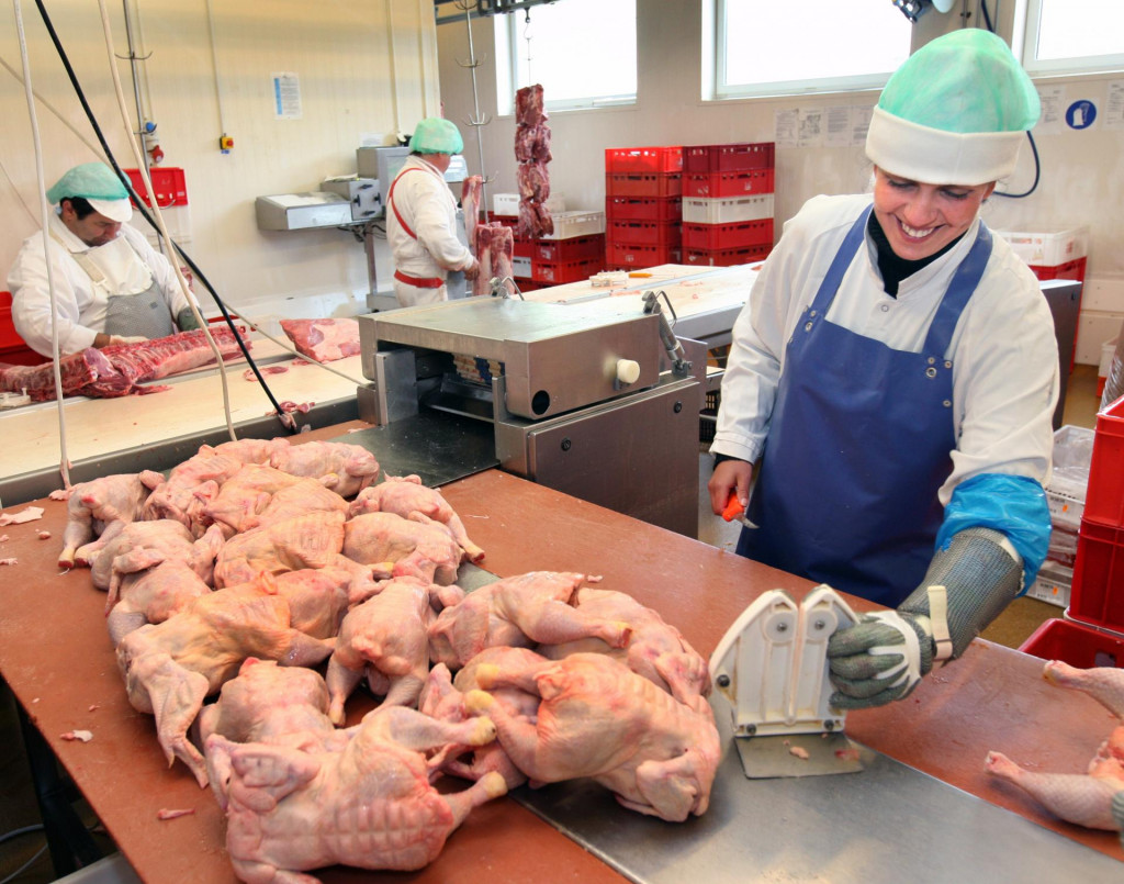 Spomedzi piatich top dovozcov hydinového mäsa na Slovensko majú suverénne najvyšší podiel Poliaci – takmer 56 percent. FOTO: HN/Pavol Funtál