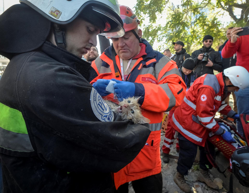 Záchranári ošetrujú mačku, ktorá bola zachránená z obytnej budovy zničenej útokom bezpilotného lietadla uprostred ruského útoku na Kyjev. FOTO: REUTERS