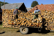 Dedinčania si takto pripravujú palivové drevo na zimu v Novej Sedlici. Ide o najvýchodnejšie položenú obec v okrese Snina. FOTO: TASR/M. Kapusta