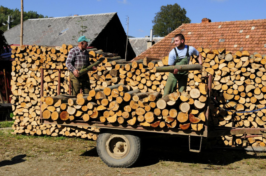 Dedinčania si takto pripravujú palivové drevo na zimu v Novej Sedlici. Ide o najvýchodnejšie položenú obec v okrese Snina. FOTO: TASR/M. Kapusta