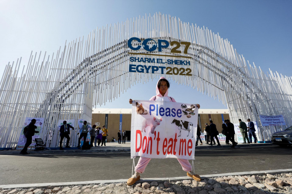 Aktivista pred vstupom na konferenciu COP27