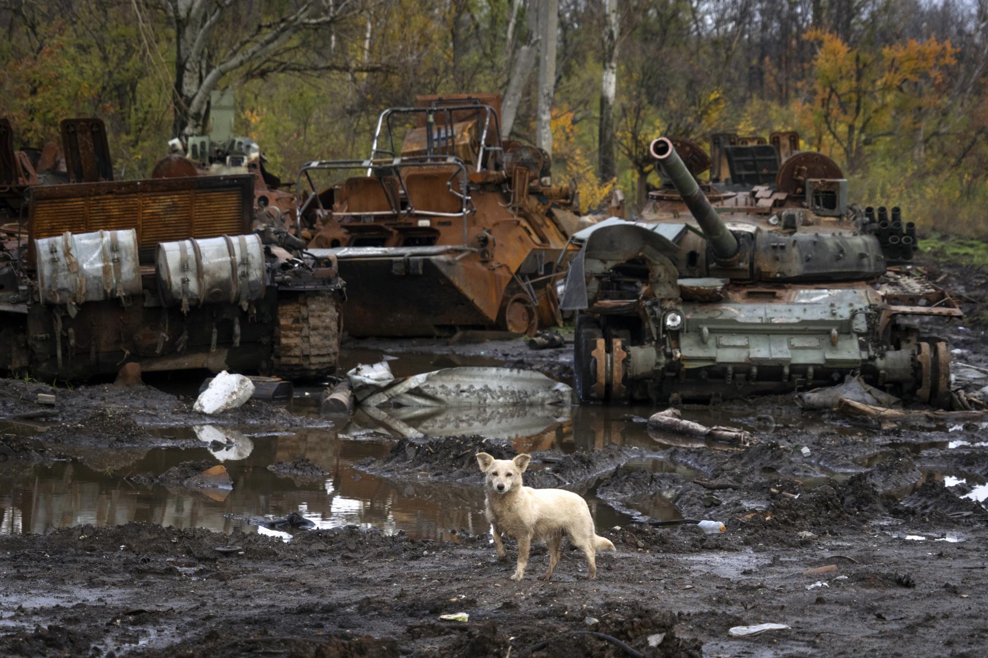 Die Deutschen werden ukrainische Waffen in der Slowakei reparieren.  Die Arbeit am Projekt beginnt sofort