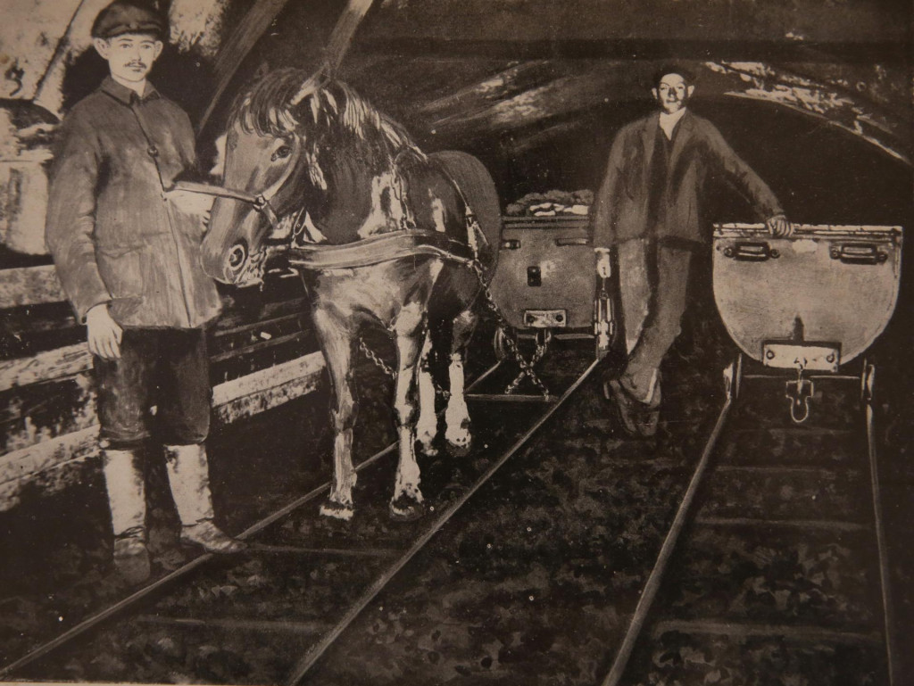 V minulosti banícke vozíky ťahali kone. FOTO: HN/Archív: Súkromné múzeum baníctva v Handlovej.