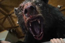 Záber z filmu Cocaine Bear