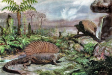 Bylinožravé edafosaury (žili pred 300 miliónmi rokov), ako ich namaľoval Zdeněk Burian.