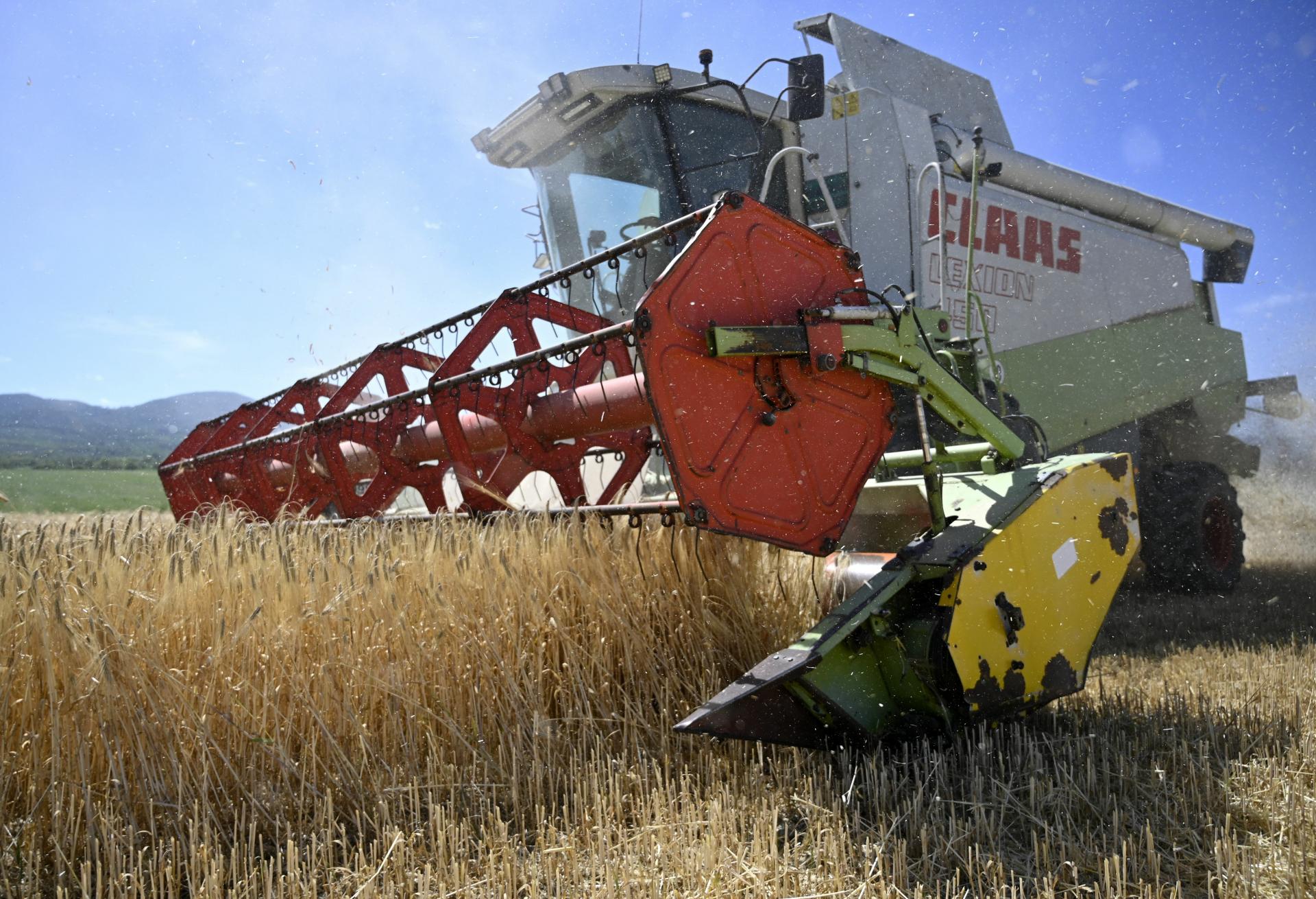 Rusko malo rekordnú úrodu obilia, a to aj z okupovanej Ukrajiny. Moskva čelí obvineniam z krádeže