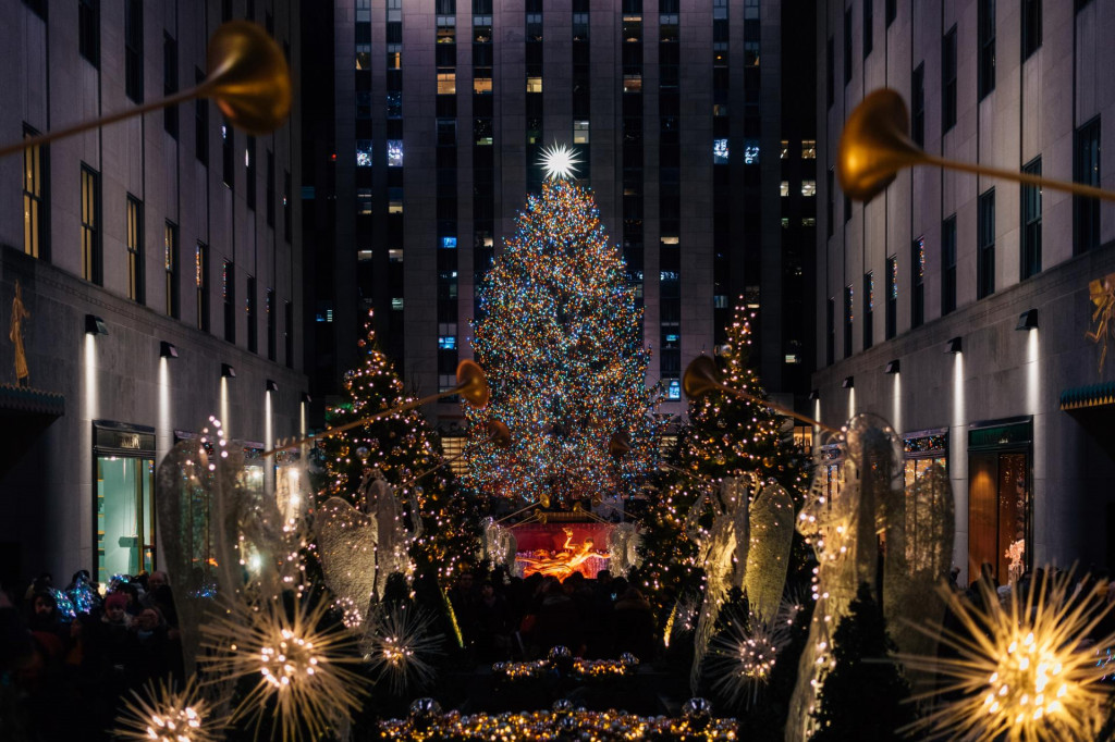 Toto sú najkrajšie vianočné stromčeky na svete.