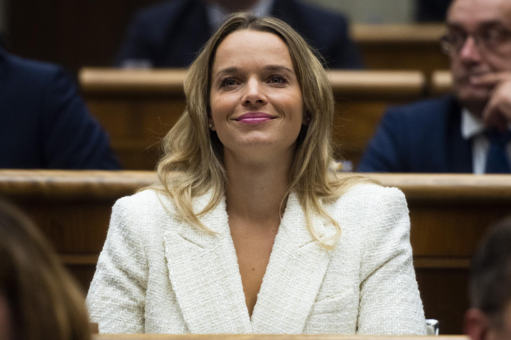 Poslankyňa parlamentu Romana Tab&aacute;k. FOTO: TASR/Jaroslav Nov&aacute;k