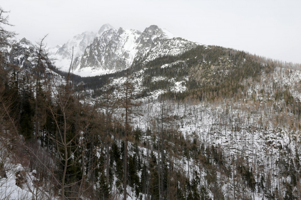 V nadmorskej výške nad 1300 metrov v Tatrách pribudlo za posledné dva dni do 20 centimetrov nového snehu. FOTO: TASR