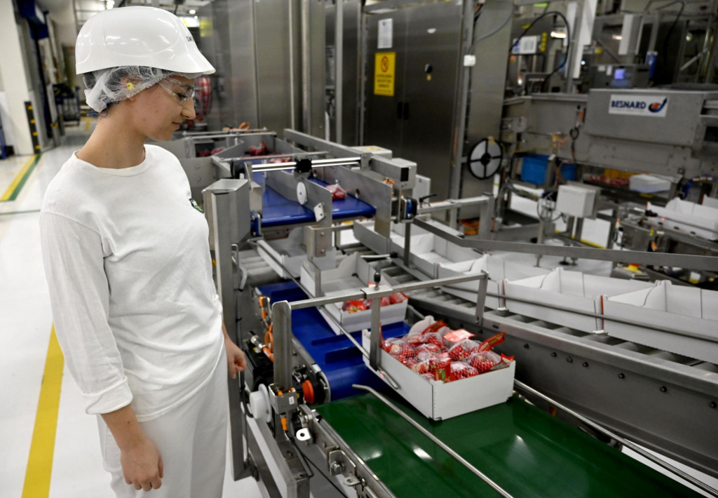 Syr&aacute;reň Bel Slovensko a.s. Michalovce vo &scaron;tvrtok 12. janu&aacute;ra 2023 spustila prev&aacute;dzku roz&scaron;&iacute;renia v&yacute;robnej jednotky syrov Mini Babybel. Z&aacute;vod v Michalovciach zamestn&aacute;va takmer 600 zamestnancov.  FOTO: TASR/Roman Hanc