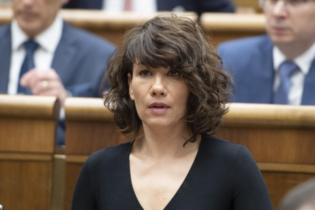 Lucia Ďuriš Nicholsonová pôsobí momentálne v europarlamente. TASR/P. Neubauer