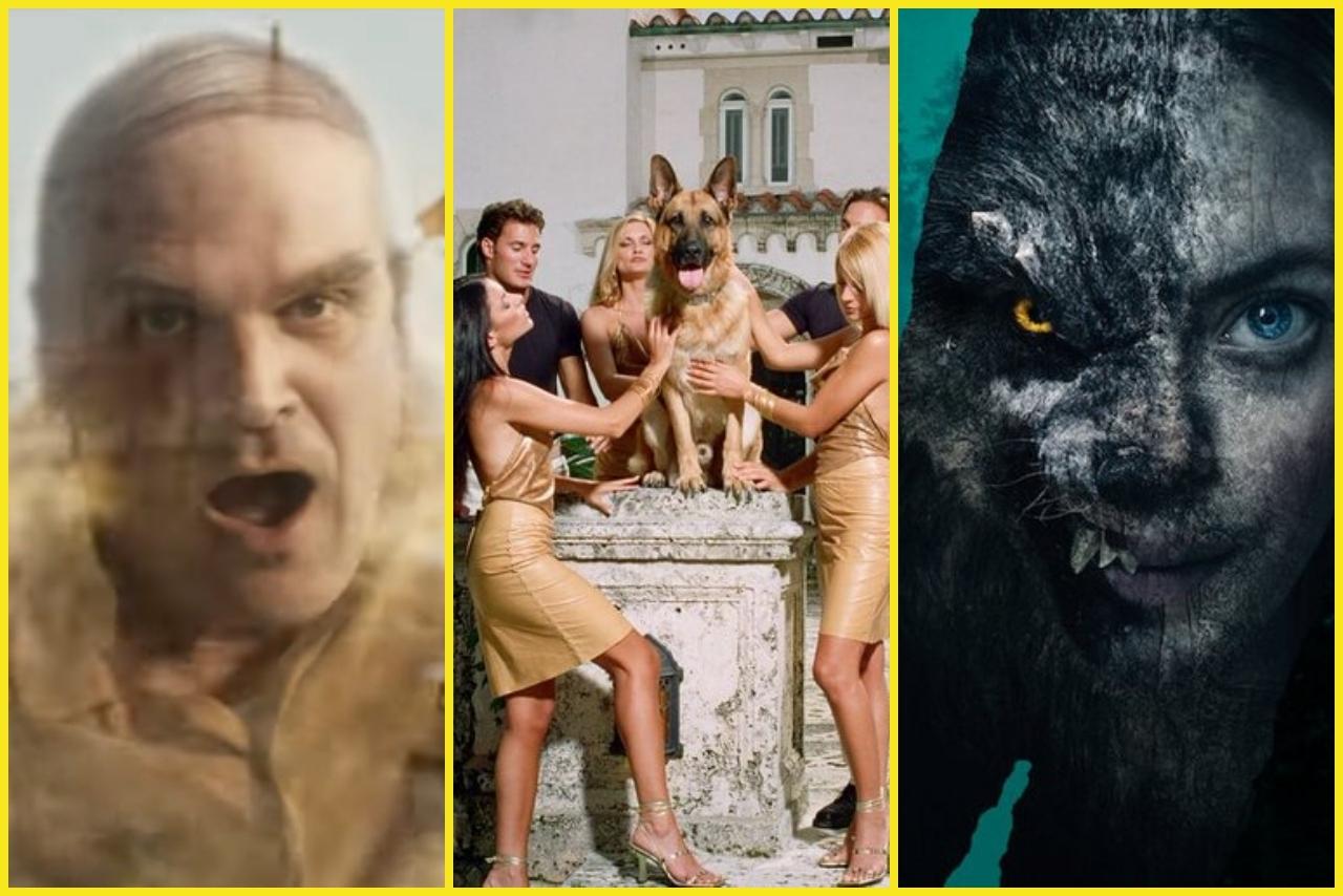 Romantyczny hiszpański serial na Walentynki lub David Harbour jako łysy duch w szalonej komedii.  Netflix zachwyci Cię w lutym