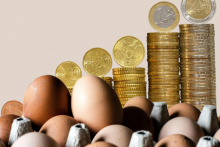 Ceny vajíčok prudko vzrástli. Avšak nemusí to byť spôsobené infláciou, skôr chamtivosťou.