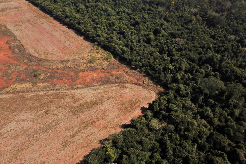 FILE PHOTO: An aerial view shows deforestation near a forest on the border between Amazonia and Cerrado in Nova Xavantina, Mato Grosso state, Brazil July 28, 2021. Picture taken July 28, 2021 with a drone. REUTERS/Amanda Perobelli/File Photo SNÍMKA: Amanda Perobelli