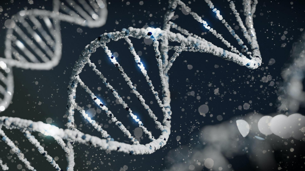 Zmena génov by podľa vedcov mohla vytvoriť superľudí