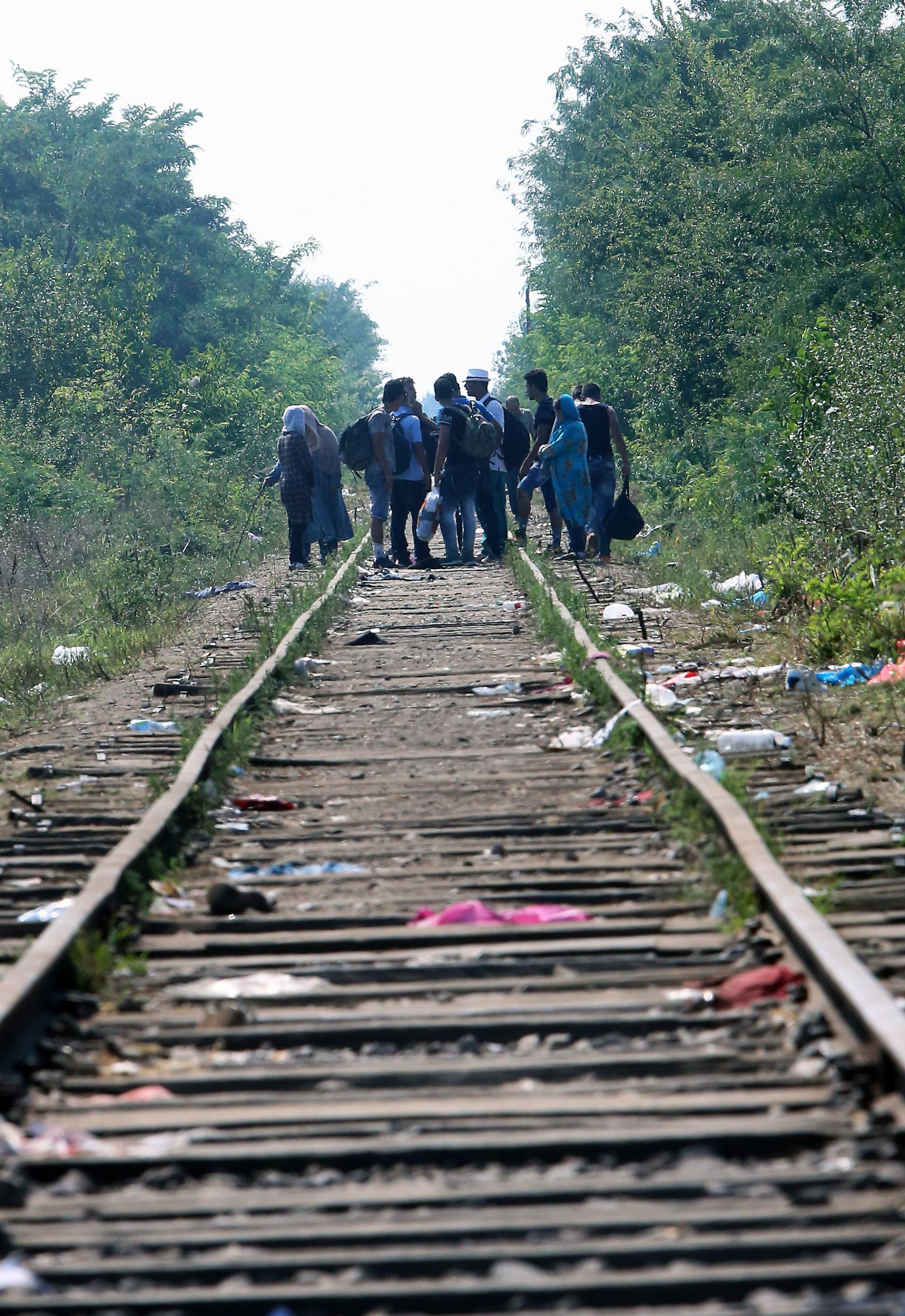 Streľba pri maďarských hraniciach. Ilegálni migranti na seba navzájom zaútočili, dve osoby sú zranené