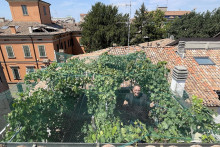 Podnikateľ, zberateľ umenia a bývalý investičný bankár Tullio Masoni vytvoril na streche svojej vily zo 16. storočia v srdci Reggio Emilia to, čo považuje za najmenšiu vinicu na svete.