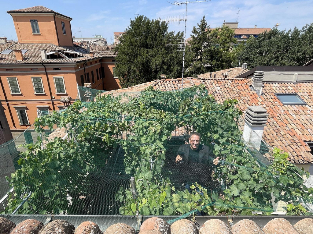 Podnikateľ, zberateľ umenia a bývalý investičný bankár Tullio Masoni vytvoril na streche svojej vily zo 16. storočia v srdci Reggio Emilia to, čo považuje za najmenšiu vinicu na svete.