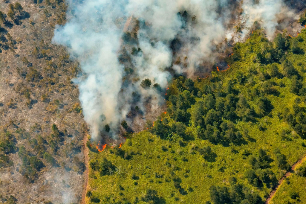 V Pinares de Mayari na Kube stúpa dym z horiacej vegetácie. FOTO: Reuters