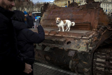 Žena fotí psa na zničenom ruskom tanku z Ukrajiny, ktorý vystavili na Námestí slobody v centre estónskej metropoly Tallinn pri príležitosti prvého výročia ruskej invázie na Ukrajinu. FOTO: TASR/AP