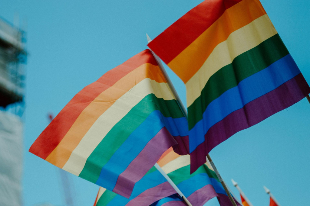 LGBTQ vlajka SNÍMKA: Unsplash/daniel James