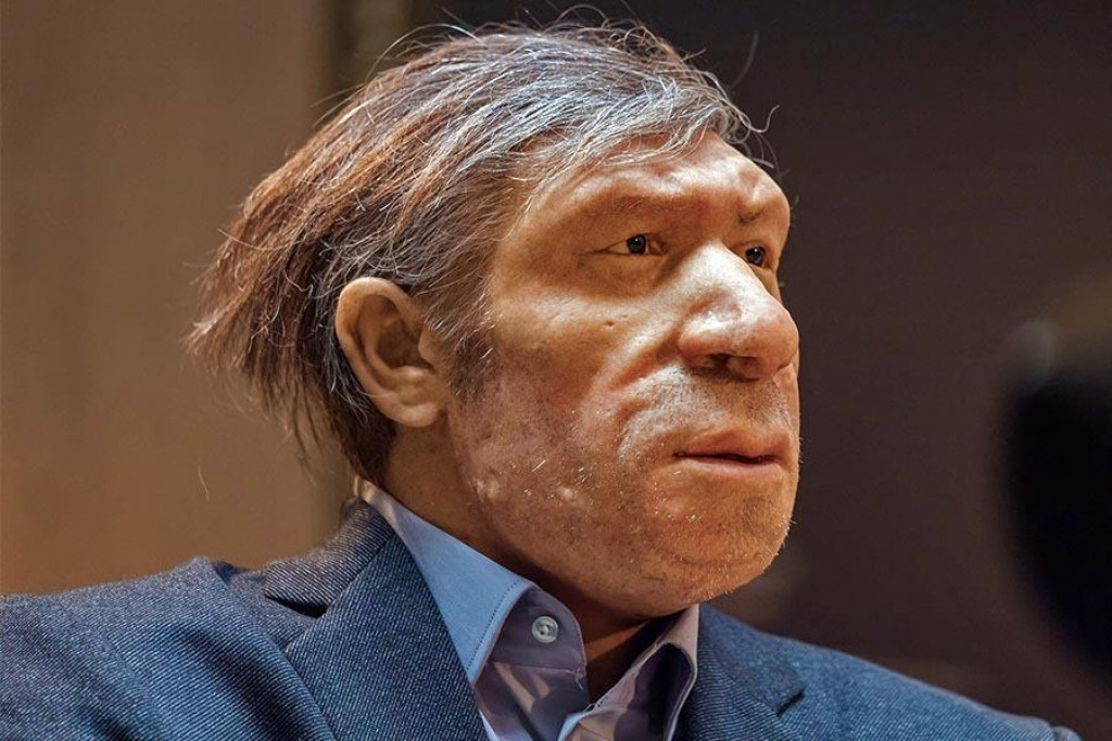 S neandertálcami toho máme spoločného viac, než by sa mohlo zdať. Ich životom sa detailne zaoberá Múzeum neandertálcov v nemeckom meste Mettmann (Severné Porýnie-Vestfálsko). Je tu vystavená aj figurína neandertálca v súčasnom obleku.