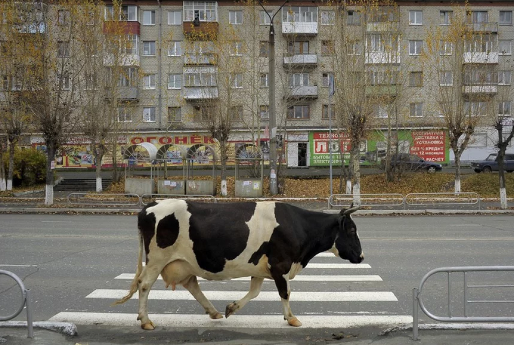 Fotograf n&aacute;m prostredn&iacute;ctvom svojich fotografi&iacute; dovol&iacute; nahliadnuť do Petrohradu