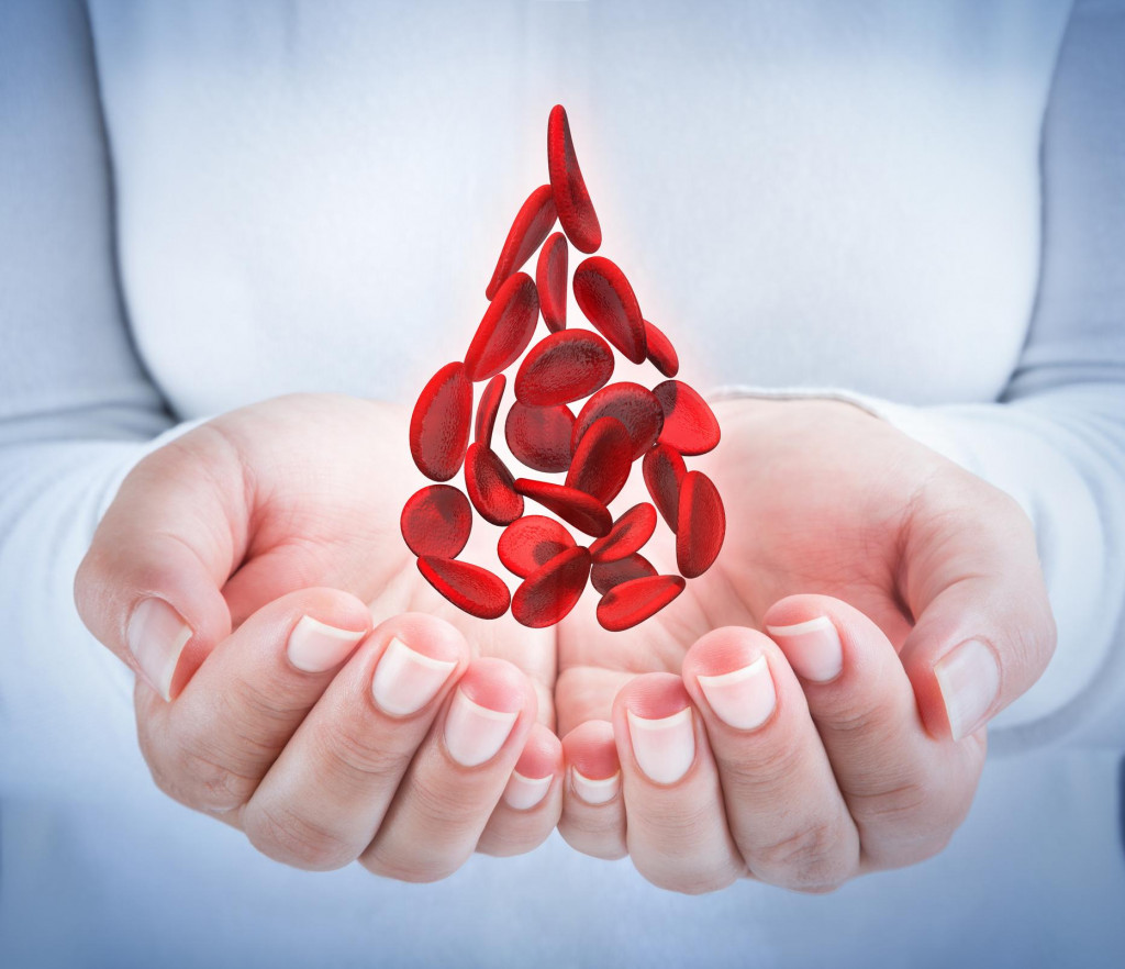 Hemofília je vzácna genetická porucha, pri ktorej si organizmus nedokáže vytvárať dostatok bielkoviny na zrážanie krvi.