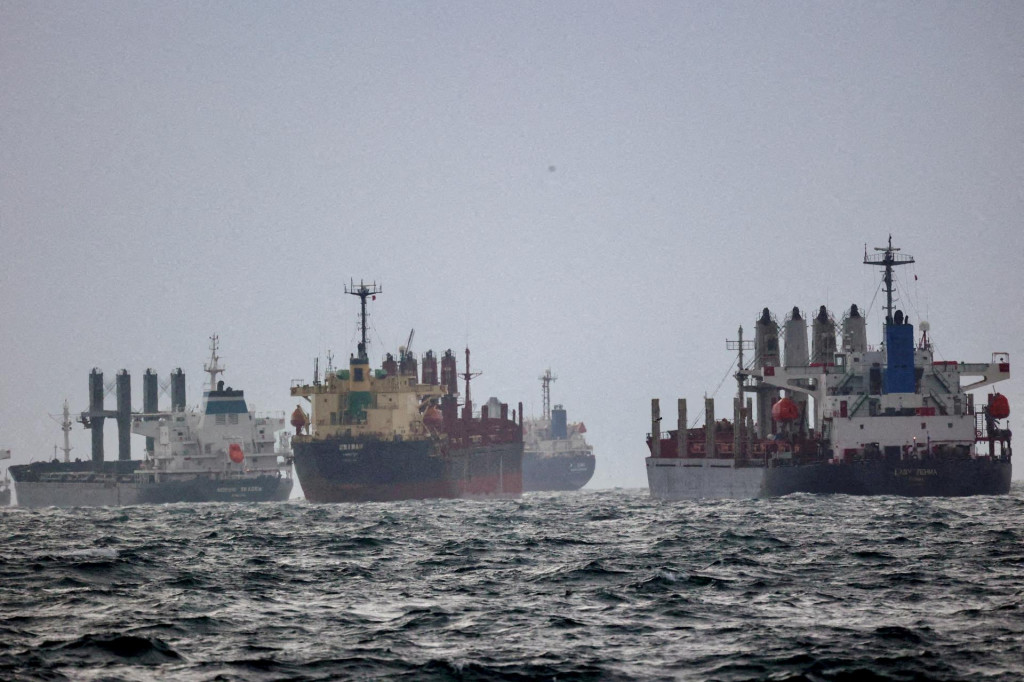 Lode čakajú na inšpekciu v rámci iniciatívy Black Sea Grain Initiative v Istanbule.FOTO: Reuters