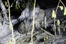 Časť ruského vojenského dronu na zemi po tom, ako bol zneškodnený v centre Kyjeva. FOTO TASR/AP