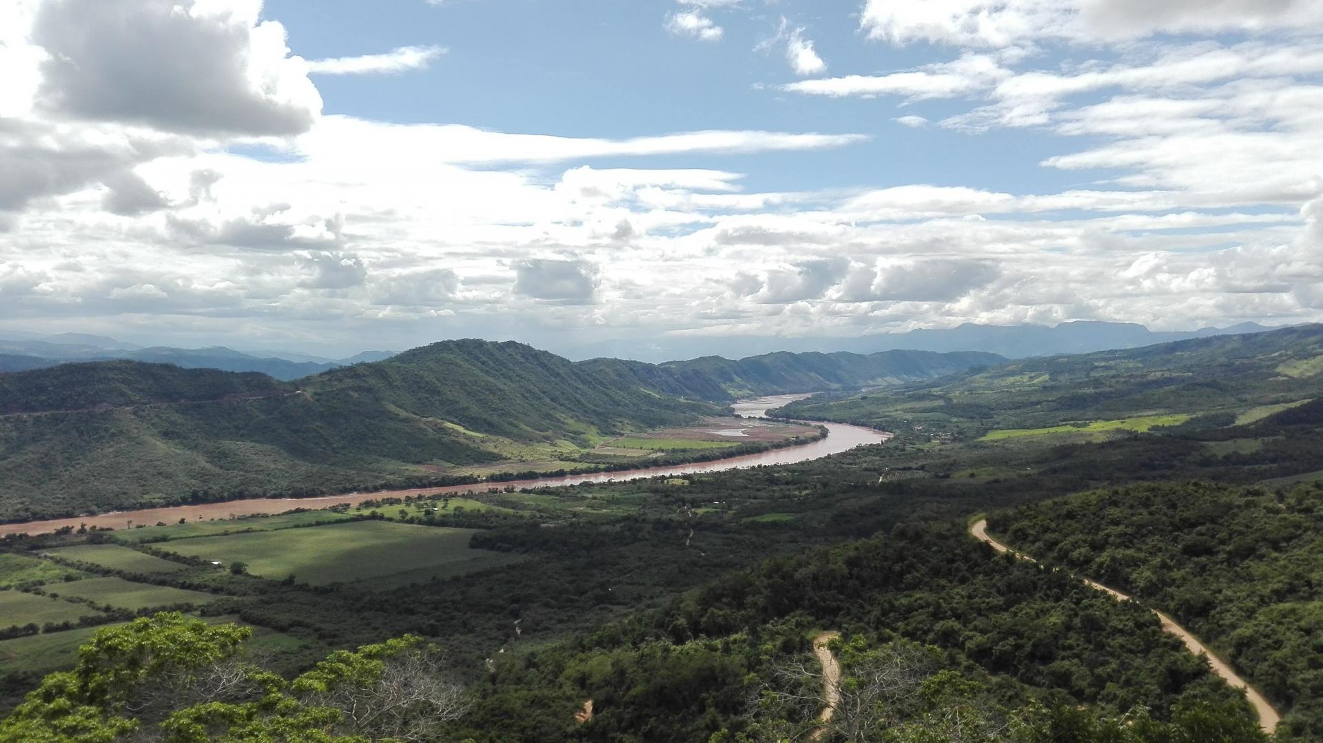 La déforestation de la forêt amazonienne a diminué de plus de moitié en avril sur un an