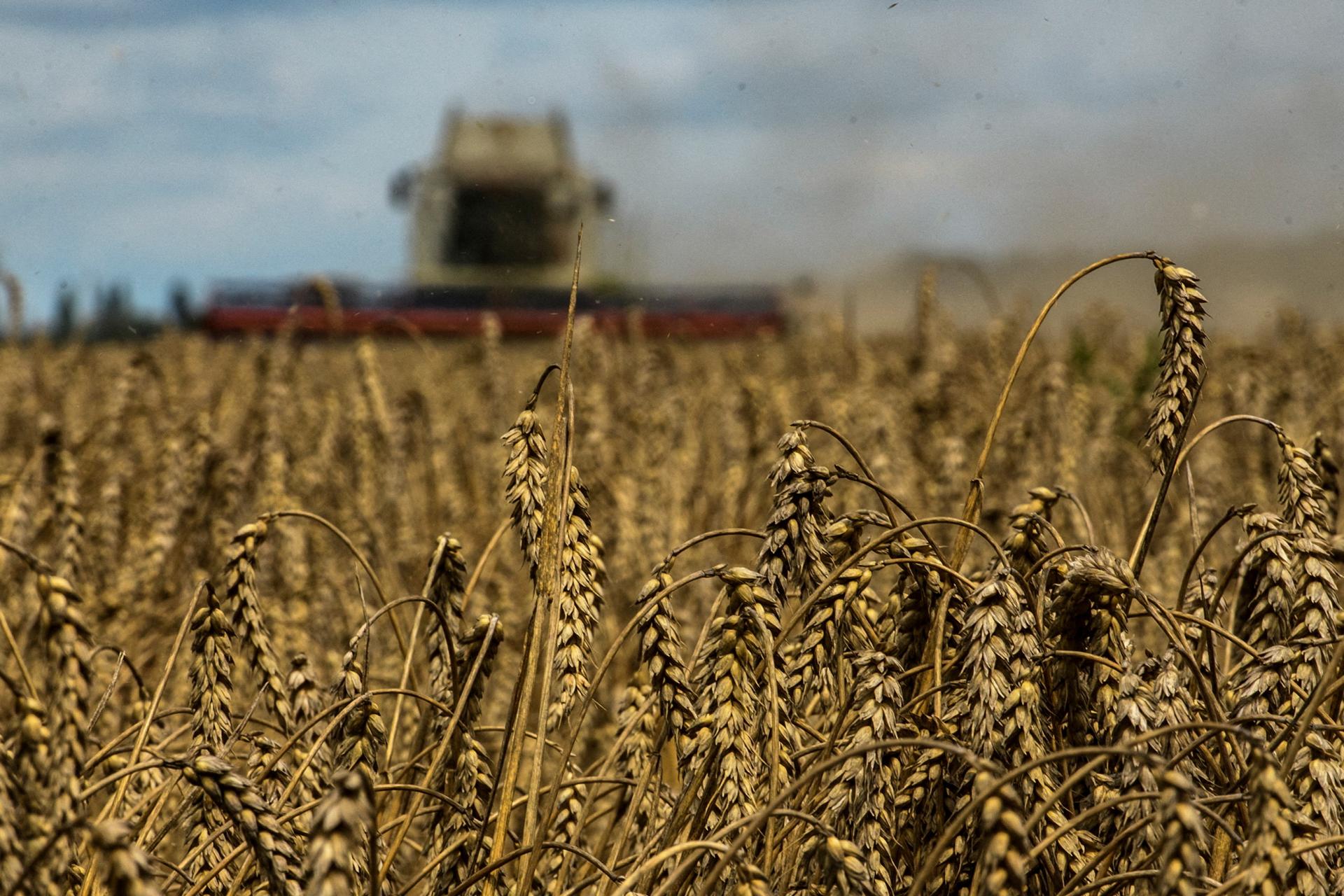 Slovensko ruší opatrenia ohľadom reštrikcií pri dovoze agroproduktov z Ukrajiny