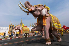 Počas korunovácie nového kráľa v Thajsku pochodovali slony, ktoré sa panovníkovi následne dokonca poklonili. FOTO: Reuters