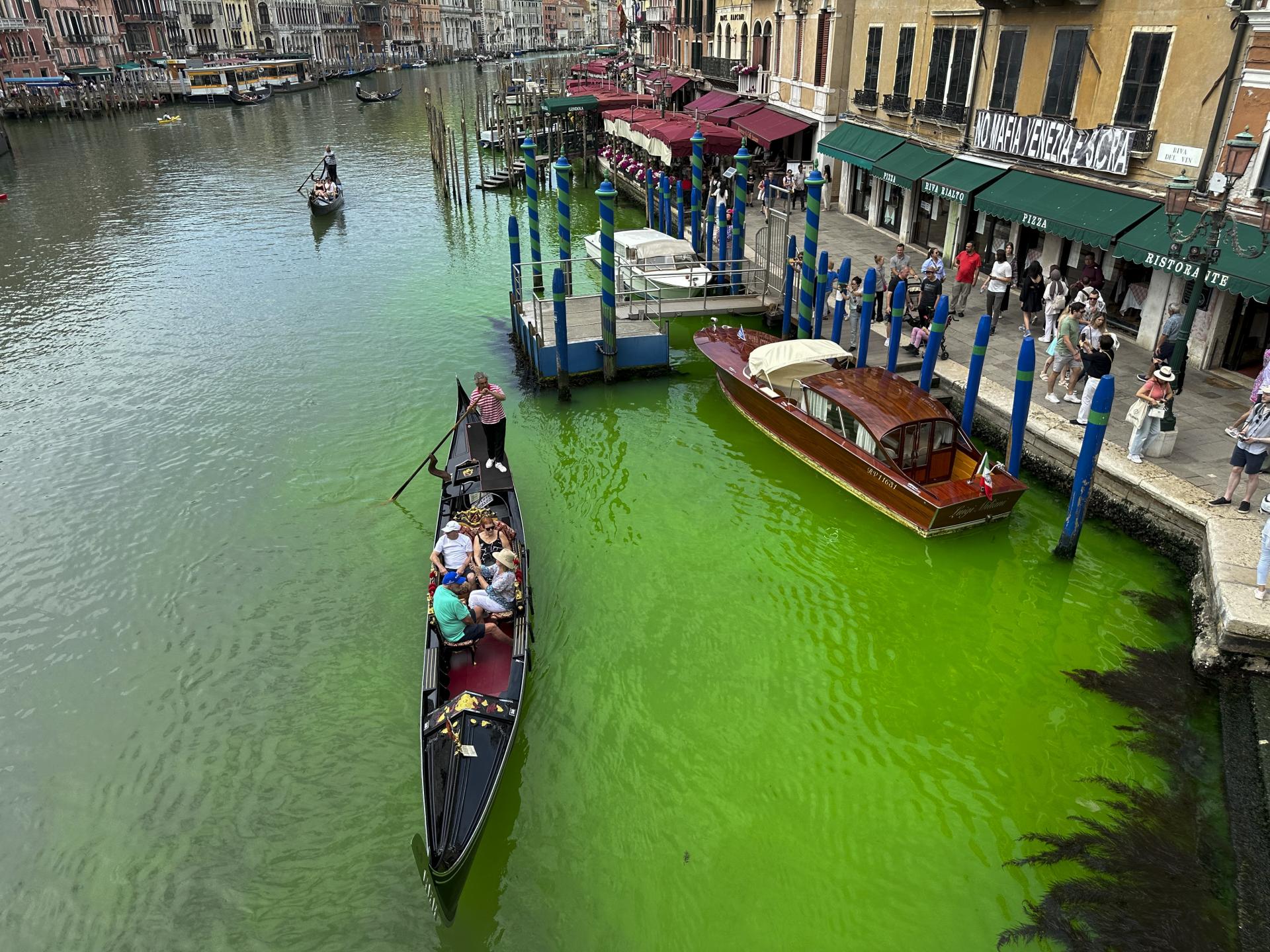 Benátsky kanál sa sfarbil nazeleno, podozriví sú aktivisti