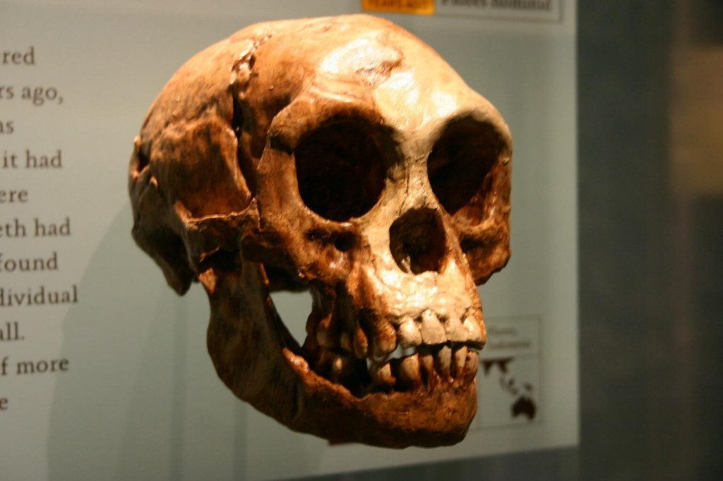 Homo floresiensis SNÍMKA: Flickr