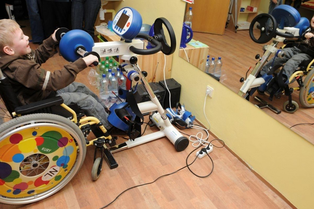 Majú pomáhať pri tých aktivitách, ktoré by človek bez zdravotného postihnutia robil bežne sám. FOTO: TASR