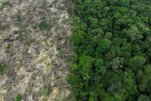 Letecký pohľad ukazuje odlesnenú oblasť počas operácie zameranej na boj proti odlesňovaniu v blízkosti mesta Uruara v Brazílii. FOTO: Reuters
