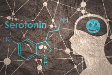 Serotonín prenáša informácie medzi jednotlivými neurónmi v mozgu.