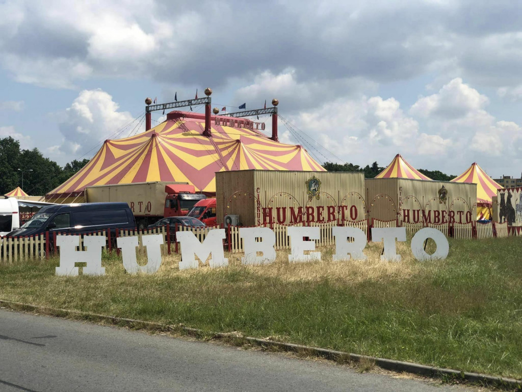 Majiteľ Cirkusu Humberto čelí obvineniu za nelegálne držanie 14 levov afrických.