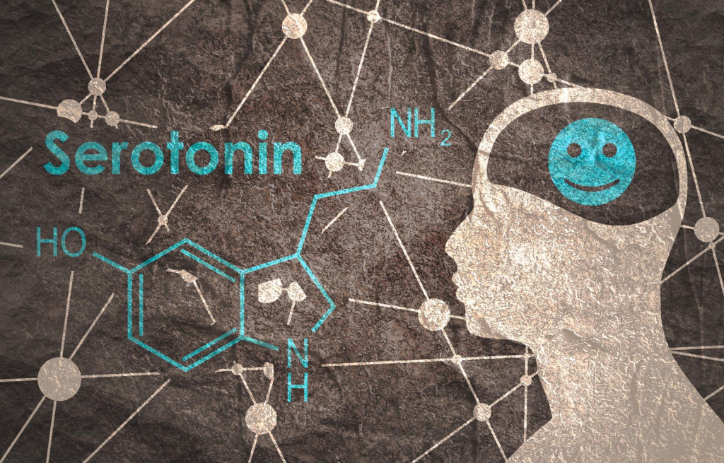 Serotonín prenáša informácie medzi jednotlivými neurónmi v mozgu.