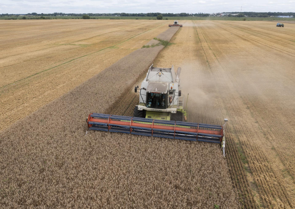 Zber pšenice kombajnom v ukrajinskej dedine Zghurivka. FOTO: TASR/AP
