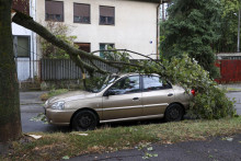 Zlomený konár stromu spadol na zaparkované auto počas silnej búrky v Záhrebe. FOTO: TASR/AP