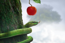 Zdravotné riziká v ovocí číhajú aj tam, kde by sme ich nečakali (HN magazín) SNÍMKA: Shutterstock