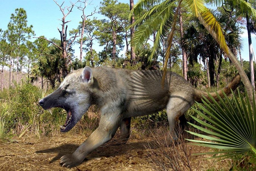 Als Tiere die Erde beherrschten. Für Menschen waren sie gefährlich, aber für prähistorische ...