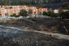 Spustošená krajina po lesnom požiari v sicílskom meste Palermo. FOTO: Reuters
