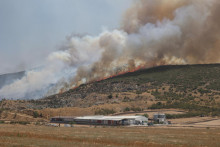 Lesný požiar pri meste Volos v strednom Grécku. FOTO: Reuters