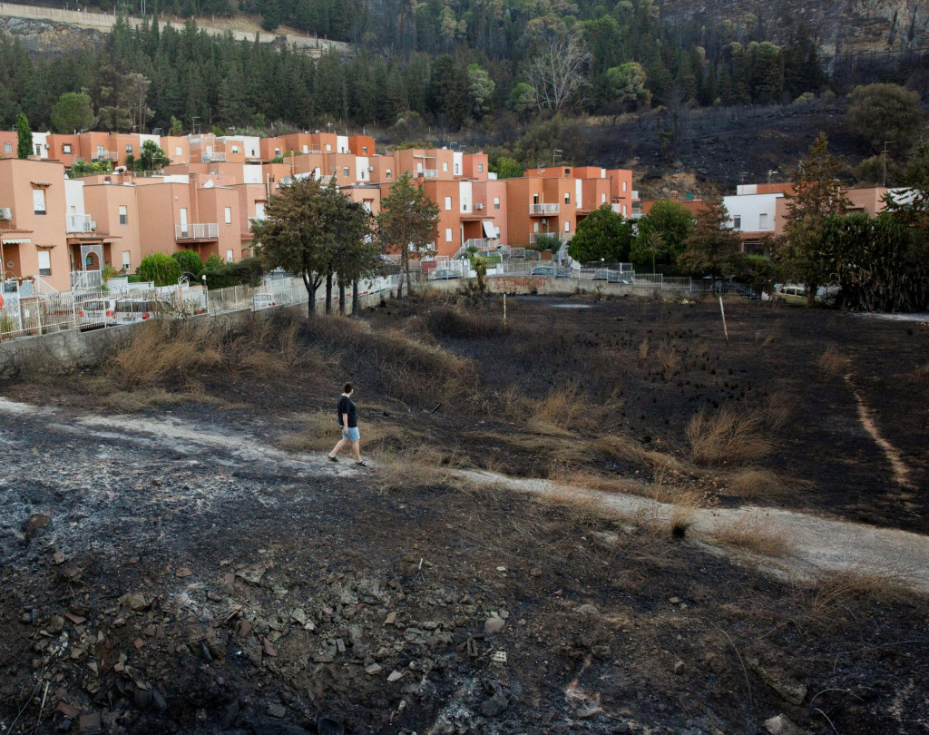 Spusto&scaron;en&aacute; krajina po lesnom požiari v sic&iacute;lskom meste Palermo. FOTO: Reuters